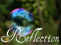 Reflection Blog